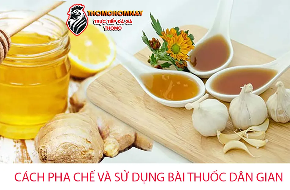 Hướng Dẫn Cách Pha Chế và Sử Dụng Bài Thuốc Dân Gian THOMOHOMNAY