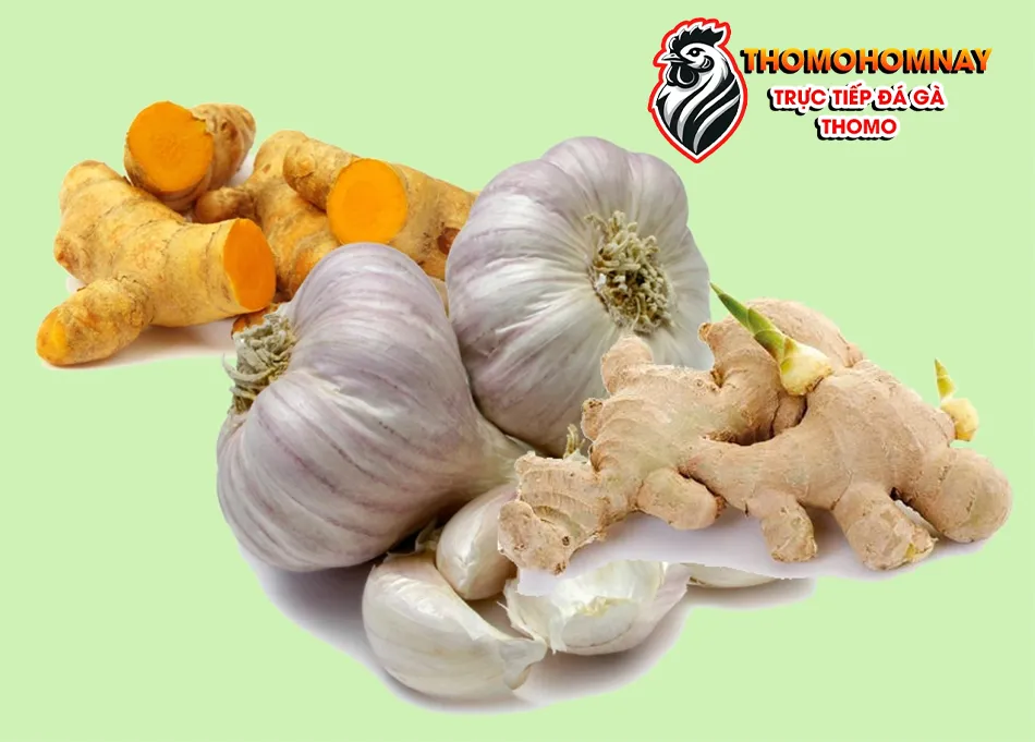 Một Số Nguyên Liệu Tự Nhiên Làm Thuốc Chữa Bệnh Cho Gà THOMOHOMNAY