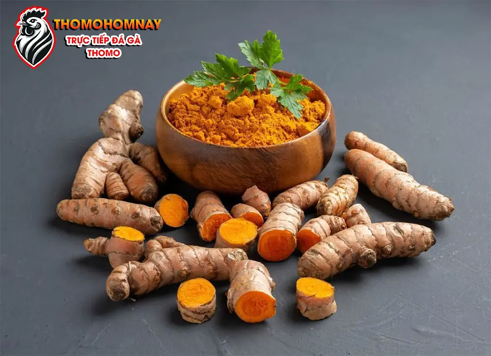 Sử dụng nghệ cho gà chọi