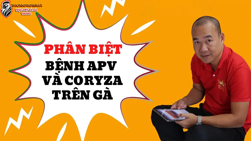 Phân biệt bệnh APV với các bệnh hô hấp khác ở gà
