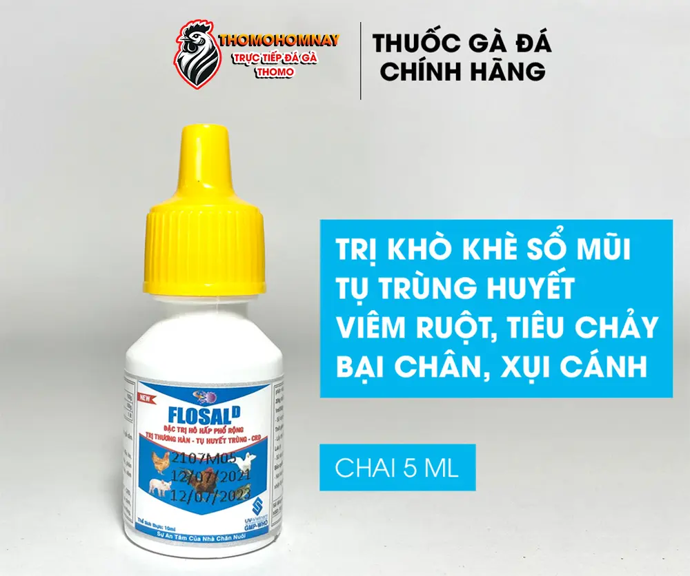 Thuốc trị sổ mũi cho gà chọi