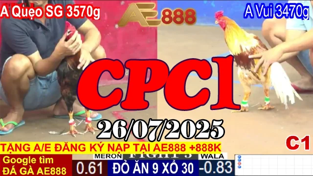 Clip Đá Gà C1 Trực Tiếp Thomo Hôm Nay 26/07/2025