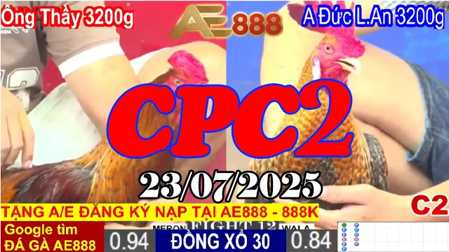 Đá Gà Trực Tiếp Thomo Hôm Nay C2 Ngày 23/07/2025