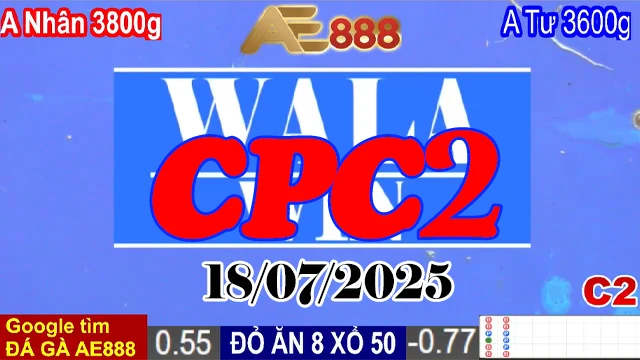 Full Clip Đá Gà Trực Tiếp Thomo Hôm Nay C2 Ngày 18/07/2025