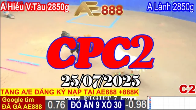 Phát Lại Video Đá Gà C2 Trực Tiếp Hôm Nay Ngày 25/07/2025