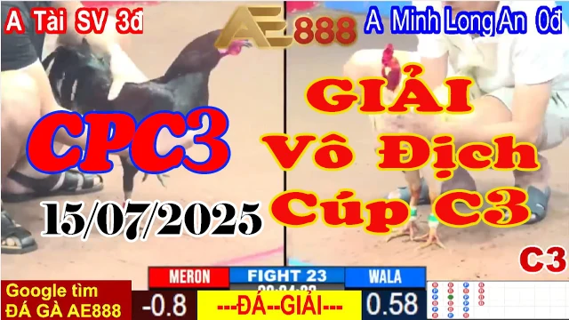 Đá Gà Giải Thomo Hôm Nay C3 16/07/2025 – Giải Vô Địch Cúp C3