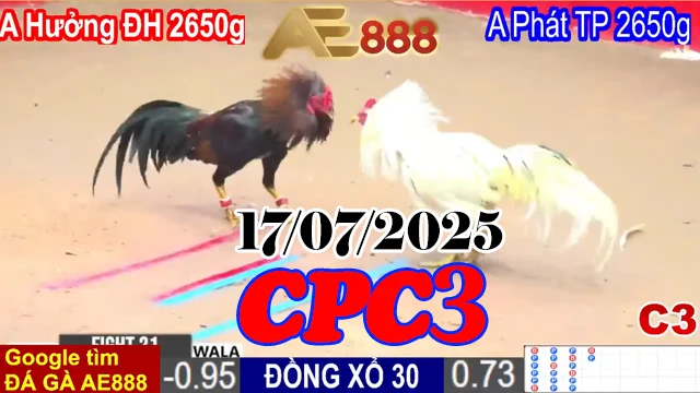 Xem Phát Lại Đá Gà Trực Tiếp Thomo Hôm Nay C3 Ngày 17/07/2025