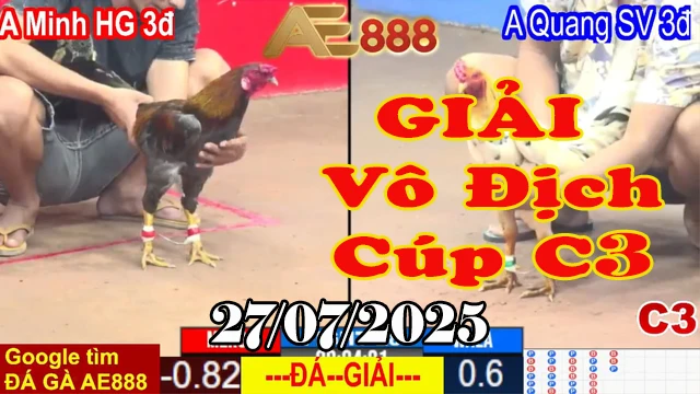 Xem Clip Đá Gà giải vô địch Cúp C3 Hôm Nay 27/07/2025