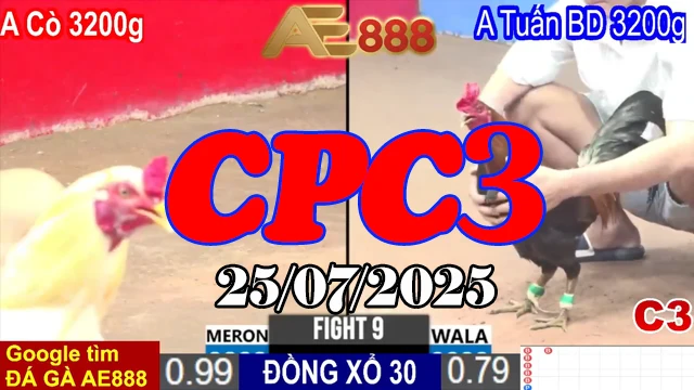 Xem Lại Clip Đá Gà Thomo Hôm Nay C3 Ngày 25/07/2025