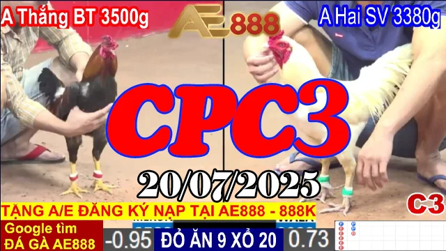Xem Lại Đá Gà C3 Thomo Hôm Nay Ngày 20/07/2025