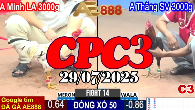 Xem Lại Đá Gà C3 Thomo Hôm Nay - Ngày 29/07/2025