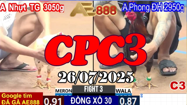 Xem Phát Lại Đá Gà Trực Tiếp Thomo Hôm Nay CPC3 Ngày 26/07/2025