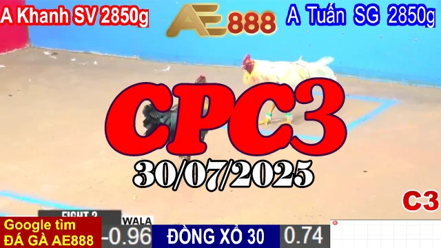 Xem Lại Trận Đá Gà C3 Thomo Ngày 30/7/2025 – Full Clip