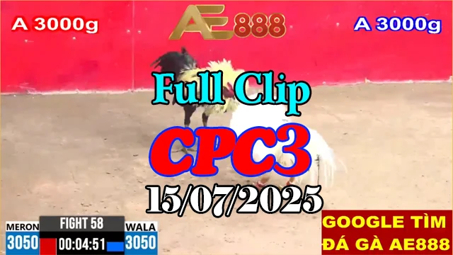 Xem Lại Đá Gà Thomo Hôm Nay C3 15/07/2025