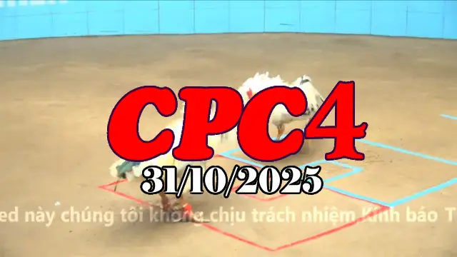Video Gà Đá Trường C4 Thomo Hôm Nay - Ngày 31/10/2025