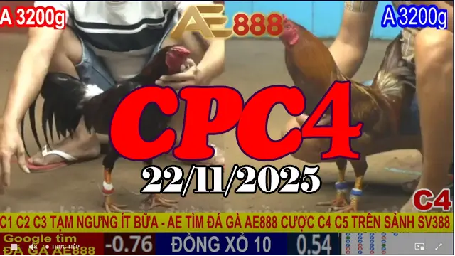 Clip Đá Gà Thomo CPC4 22112025 – Phát Lại Trận Đỉnh Trong Ngày