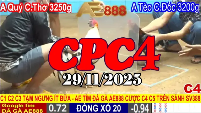 Đá gà CPC4 hôm nay 29112025 - Xem trực tiếp ngay lập tức