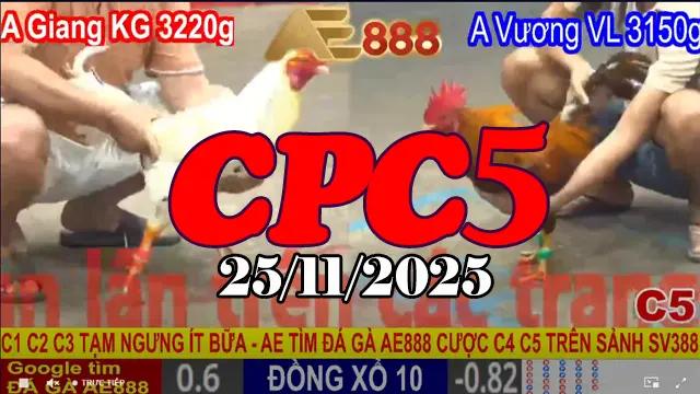 Full Video Đá Gà Trực Tiếp CPC5 Hôm Nay 25112025 Mới Nhất