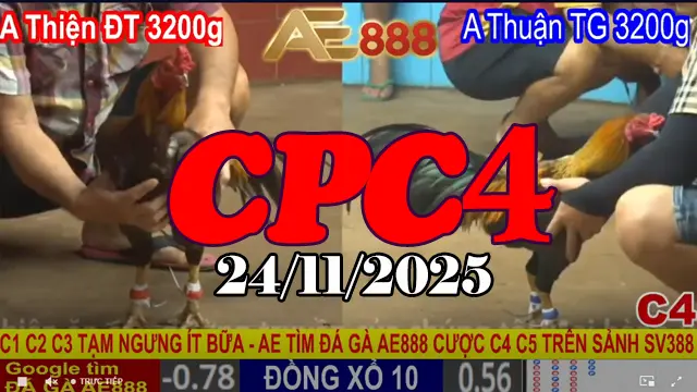 Full link clip phát lại trực tiếp đá gà Thomo CPC4 hôm nay 24112025
