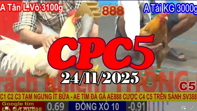 Full link xem video phát lại đá gà trực tiếp Thomo CPC5 hôm nay 24112025