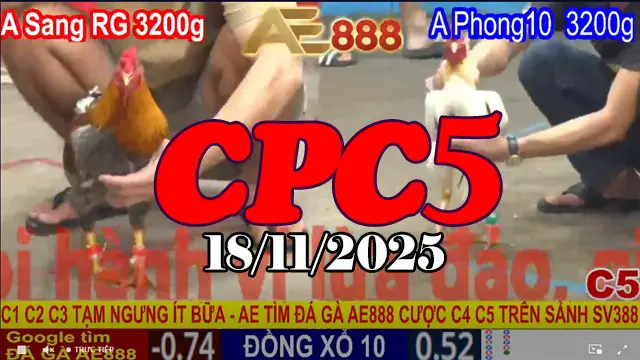 Full video đá gà CPC5 Thomo hôm nay 18112025 chi tiết từng pha