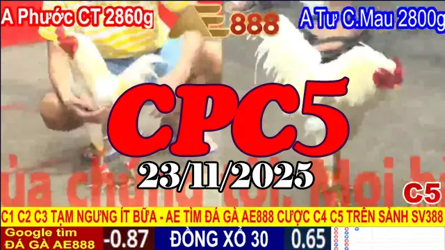 Kho clip đá gà trực tiếp Thomo CPC5 hôm nay 23112025