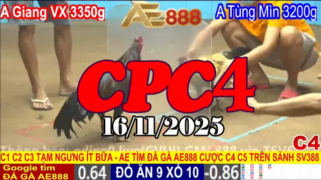 Phát lại full trận đá gà CPC4 ngày 16112025