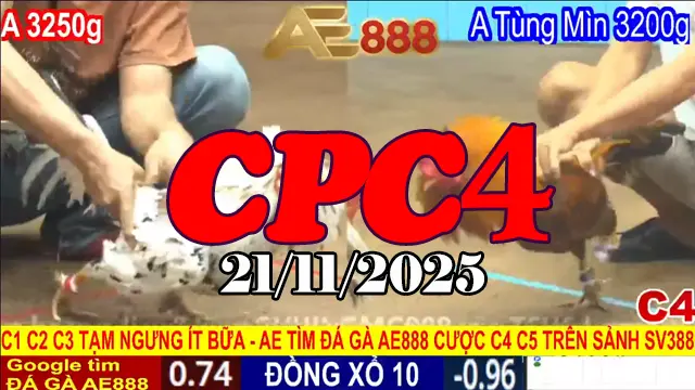 Trận hot trực tiếp đá gà Thomo CPC4 hôm nay 21112025 phát lại