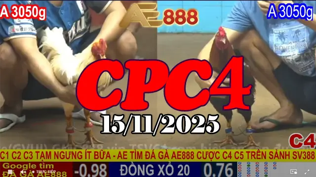 Trực Tiếp Đá Gà Thomo CPC4 15112025 Mới Nhất Full HD