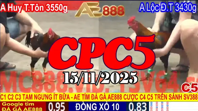 Trực Tiếp Đá Gà Thomo CPC5 Hôm Nay Ngày 15112025 Full HD