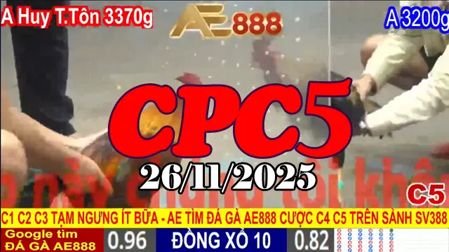 Video Đá Gà Trực Tiếp Thomo CPC5 26112025 Mới Nhất