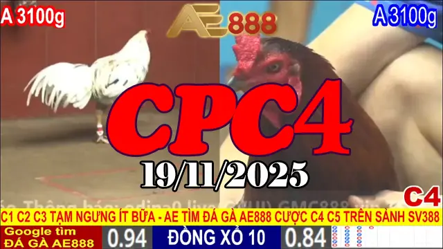 Video phát lại đá gà trực tiếp CPC4 Thomo hôm nay 19112025 chi tiết từng pha