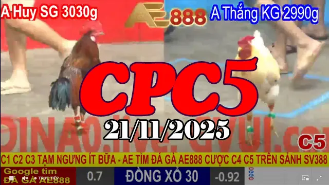 Video trận hot phát lại trực tiếp đá gà Thomo CPC5 21112025