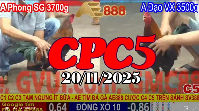 Video trực tiếp đá gà Thomo CPC5 hôm nay 20112025 miễn phí