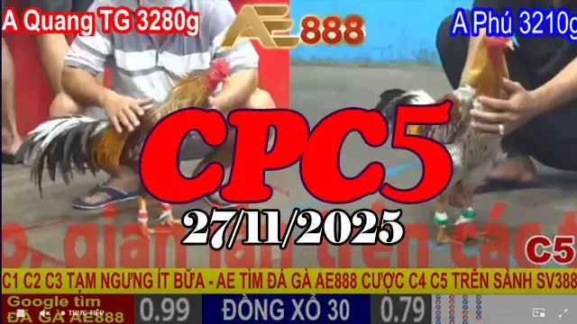Xem Clip Phát Lại Đá Gà CPC5 27112025 – Full HD Không Giật Lag