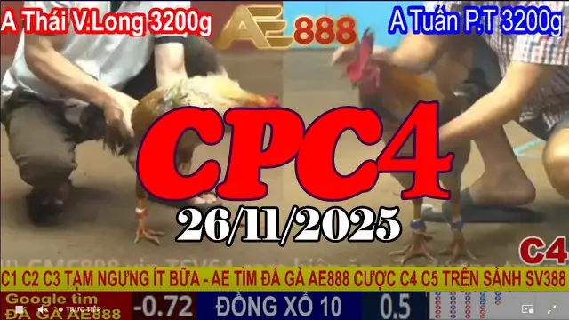 Xem Đá Gà Trực Tiếp Thomo CPC4 26112025 Mới Nhất