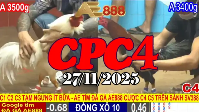 Xem Video Đá Gà CPC4 27112025 – Full Highlight Trực Tiếp