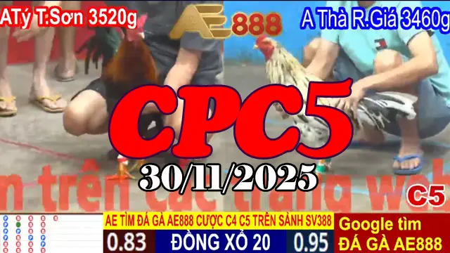 Xem clip trực tiếp đá gà Thomo CPC5 hôm nay 30112025 – Xem lại ngay