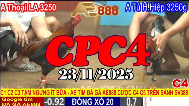 Xem đá gà trực tiếp CPC4 hôm nay 23112025 mới cập nhật