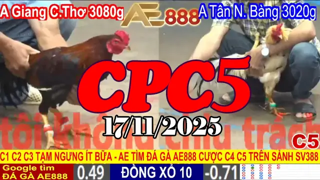 Xem full clip đá gà trực tiếp CPC5 Thomo 17112025 chuẩn HD