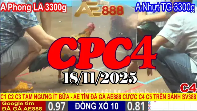 Xem video đá gà CPC4 Thomo hôm nay 18112025 chất lượng cao
