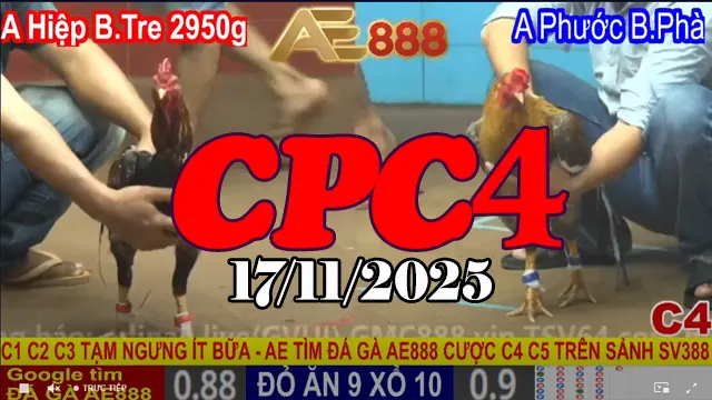 Xem video đá gà trực tiếp CPC4 Thomo 17112025 miễn phí chất lượng cao