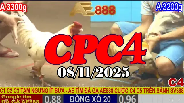 Phát Sóng Trực Tiếp Full Clip Đá Gà CPC 4 Thomo Ngày 08/11/2025
