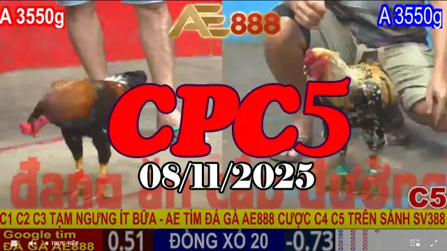 Phát Sóng Trực Tiếp Full Clip Đá Gà CPC 5 Thomo Ngày 08/11/2025