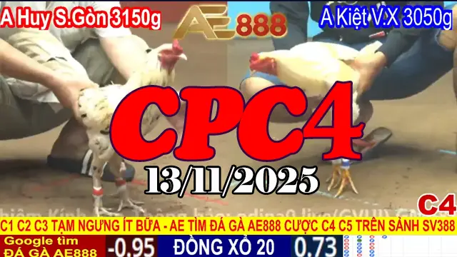 Video Clip Đá Gà Thomo CPC4 Full Trận 13/11/2025