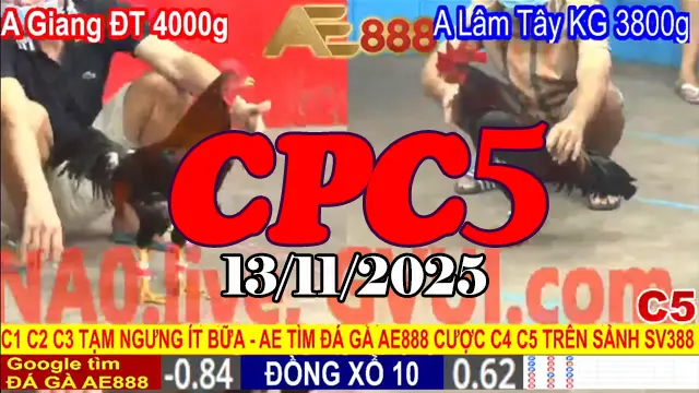 Clip Đá Gà Trực Tiếp Thomo CPC5 Hôm Nay 13/11/2025 Full Trận