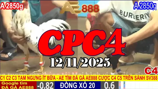 Xem Lại Đá Gà CPC4 Thomo Ngày 12/11/2025 – Full Giải Đấu