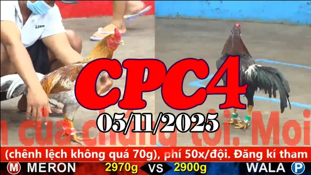 Clip phát lại đá gà CPC4 hôm nay 05/11/2025 chất lượng HD