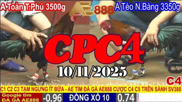 Xem lại toàn bộ clip đá gà trực tiếp Thomo CPC4 hôm nay 10/11/2025