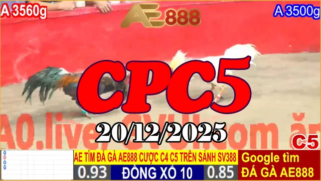 Clip Đá Gà CPC5 Trực Tiếp Hôm Nay 20122025